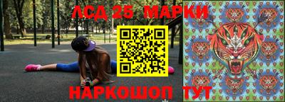 кокс Донской